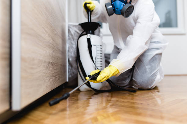 Best Spider Control Near Me  in Everett, WA