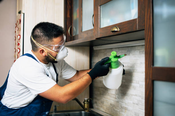 Best Mosquito Control Services  in Everett, WA