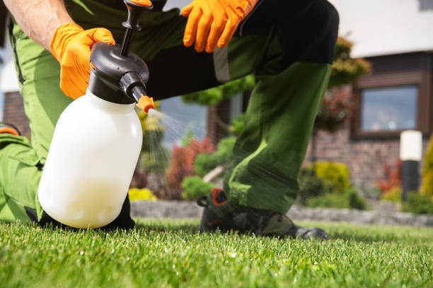 Best Pest Control Near Me  in Everett, WA
