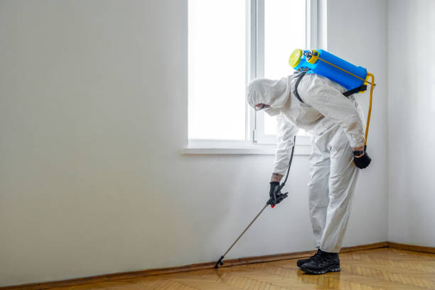 Best Wasp Removal Services  in Everett, WA