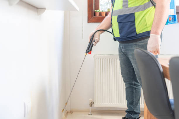 Best Local Pest Control Services  in Everett, WA