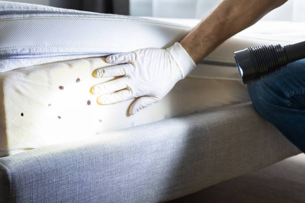 Best Commercial Pest Control Services  in Everett, WA
