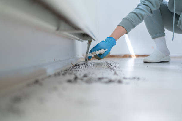 Best Pest Removal Services  in Everett, WA